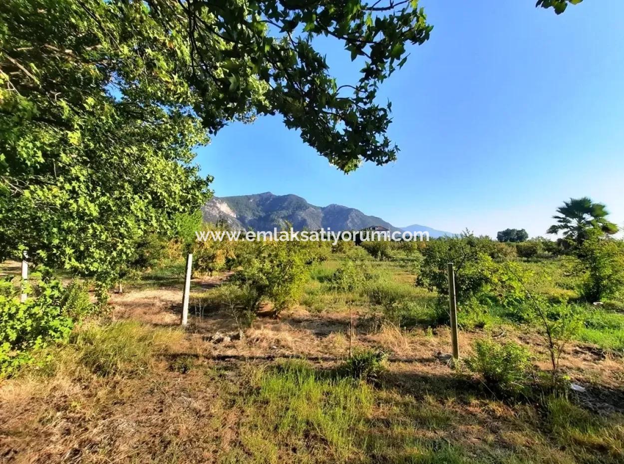 Grundstück Geeignet Für Investitionen Zum Verkauf In Mugla Dalyan Marmarlı