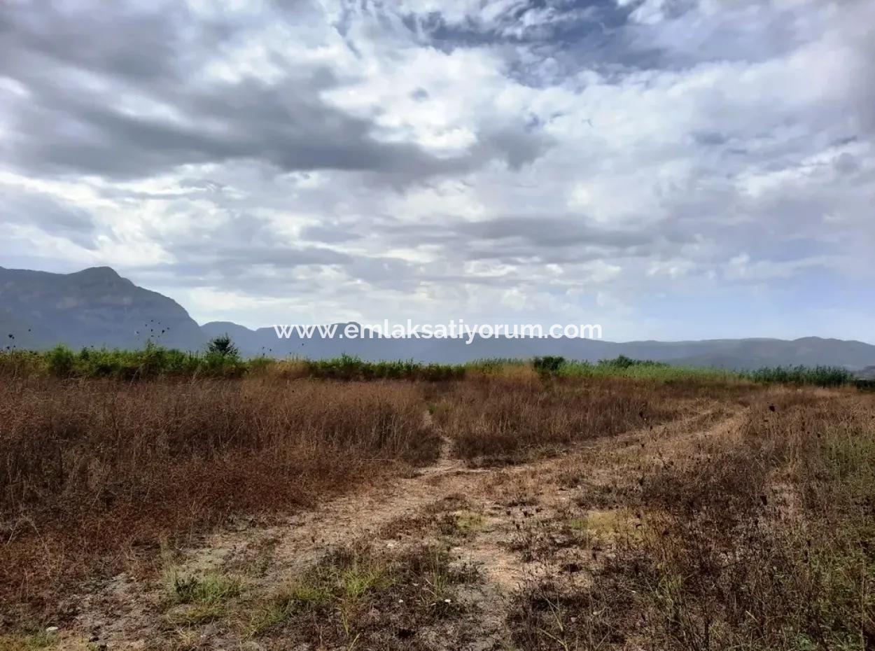 Fruchtbares Land Zu Verkaufen In Ortaca Eskiköy