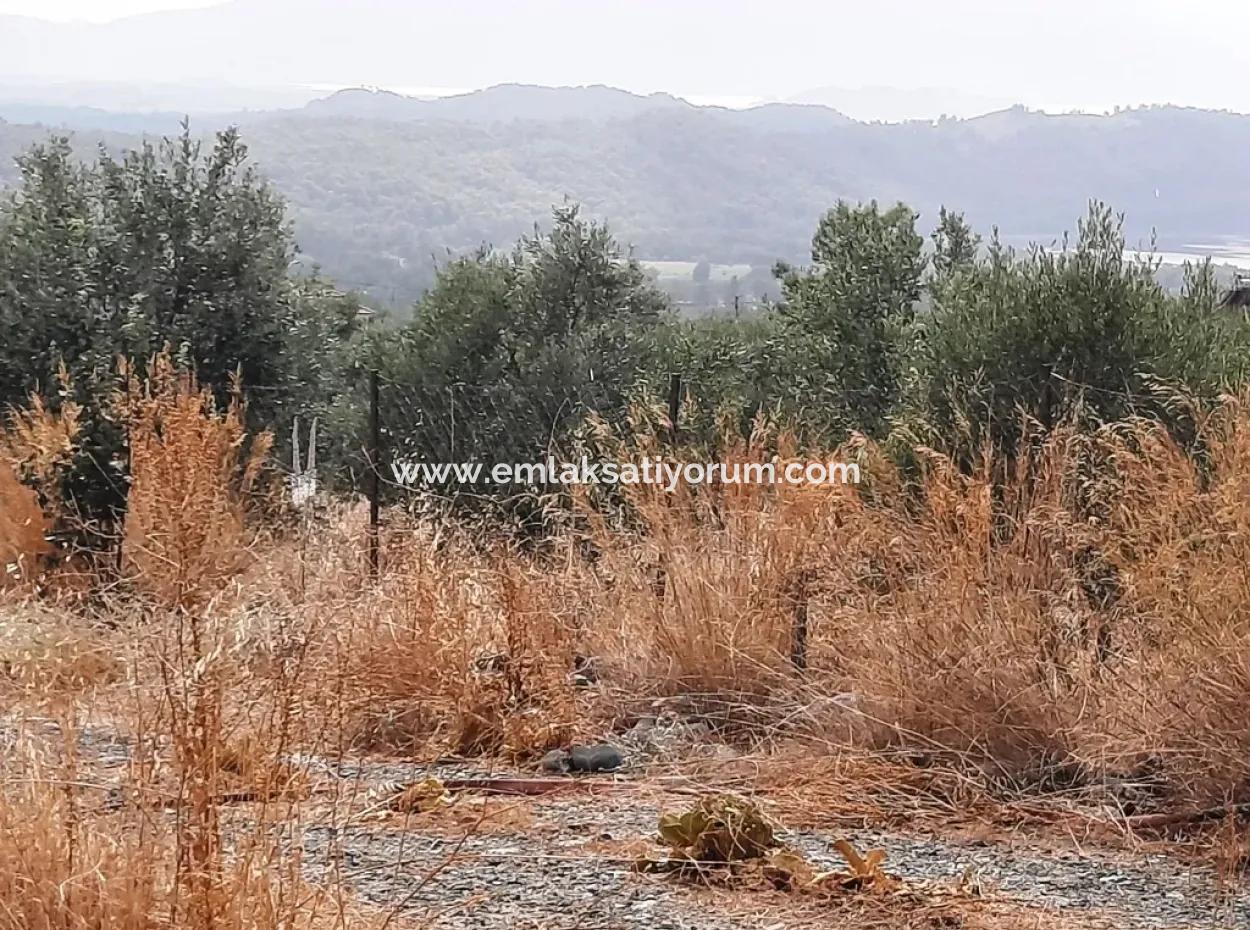 Freistehendes Land Mit Seeblick Zum Verkauf In Köycee'iz Zeytin Bereich