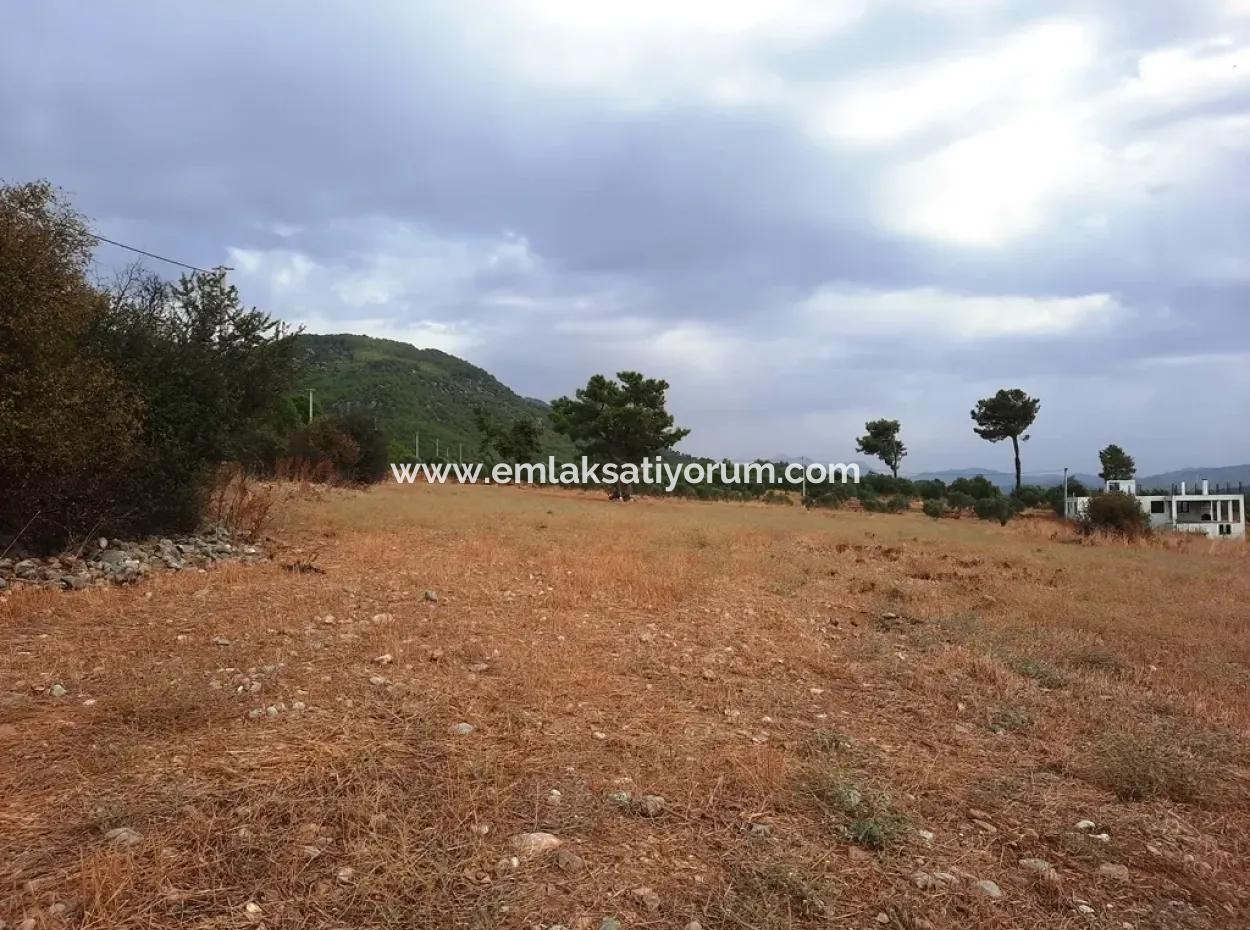 Freistehendes Land Mit Seeblick Zum Verkauf In Köycee'iz Zeytin Bereich