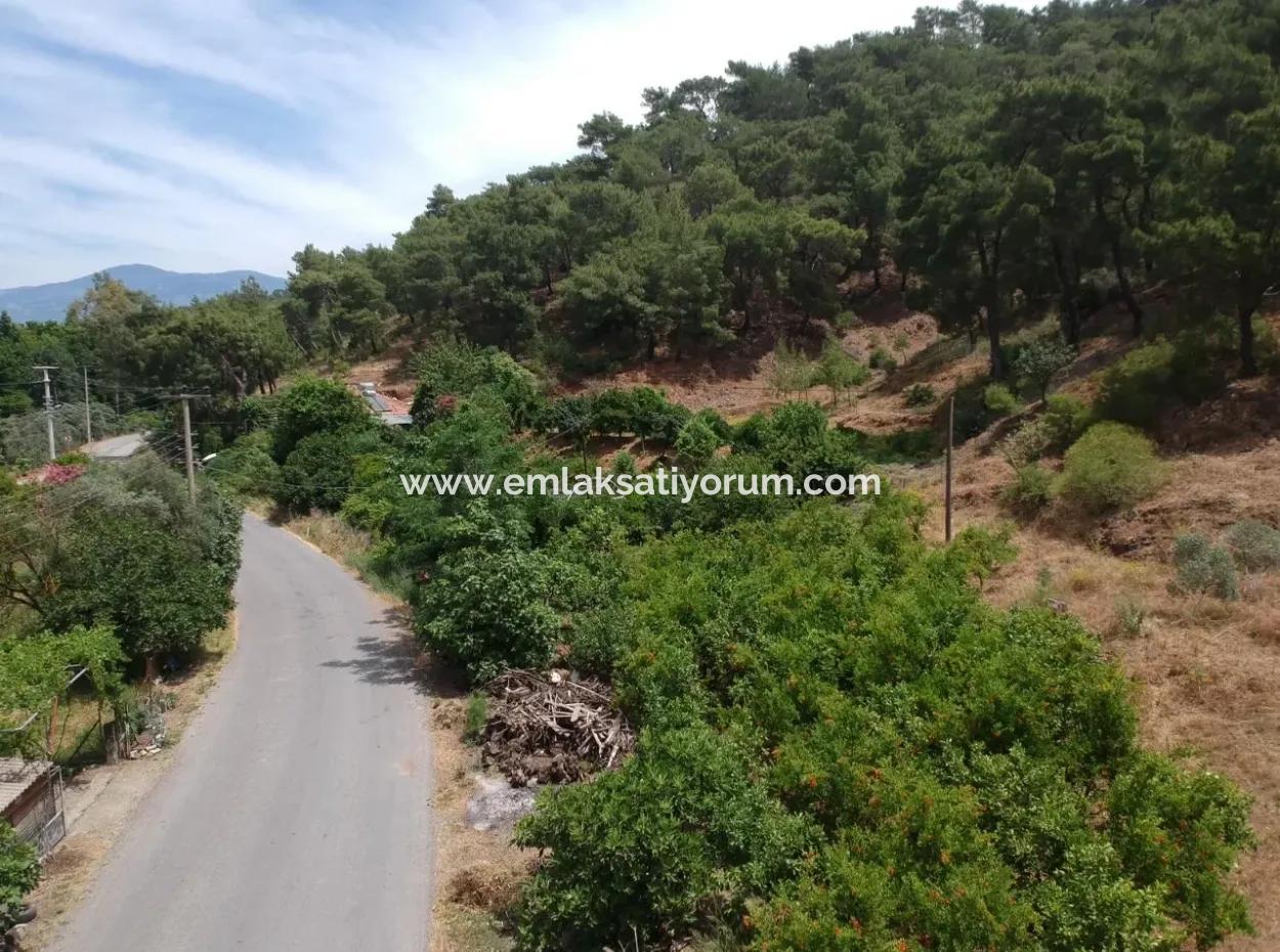 Land Mit Seeblick Zum Verkauf Zwischen Ortaca Tepearasi
