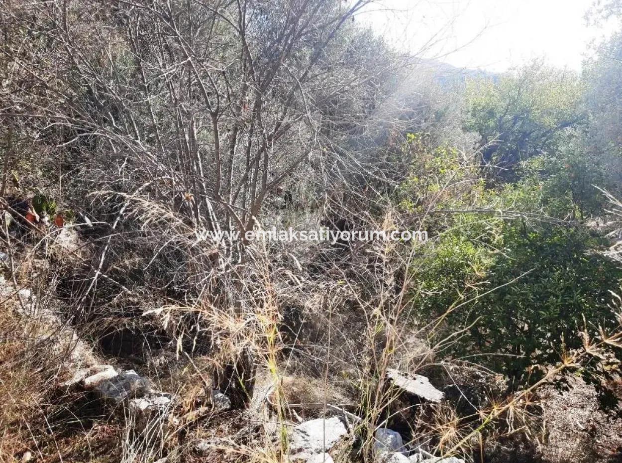 Freistehendes Dorfhaus Mit Meer- Und Naturblick Zum Verkauf In Ula Gokova