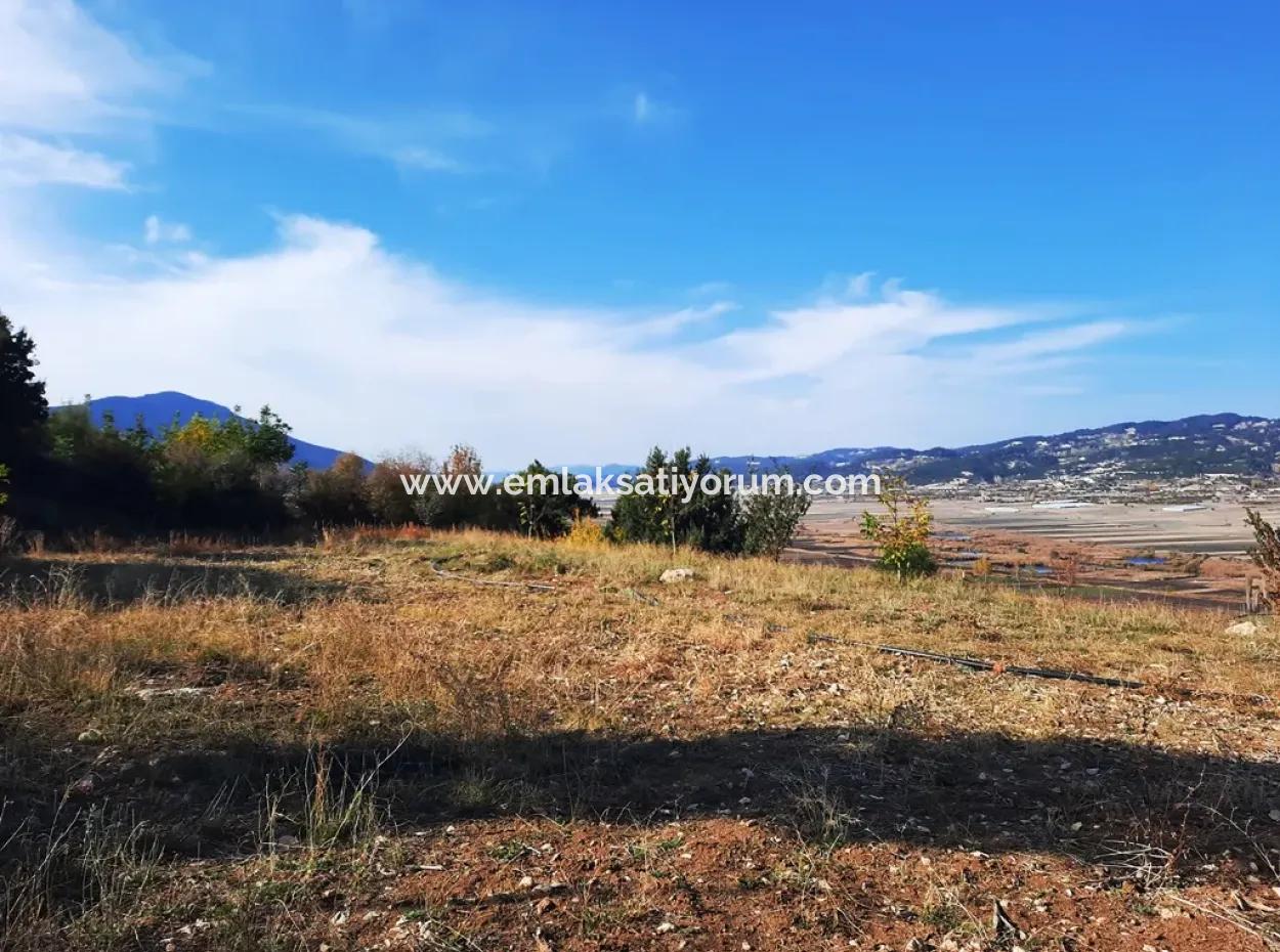 Denizli Çameli Kizilyaka Schmetterling Land Und Dorfhaus Mit Hundeblick Zum Verkauf