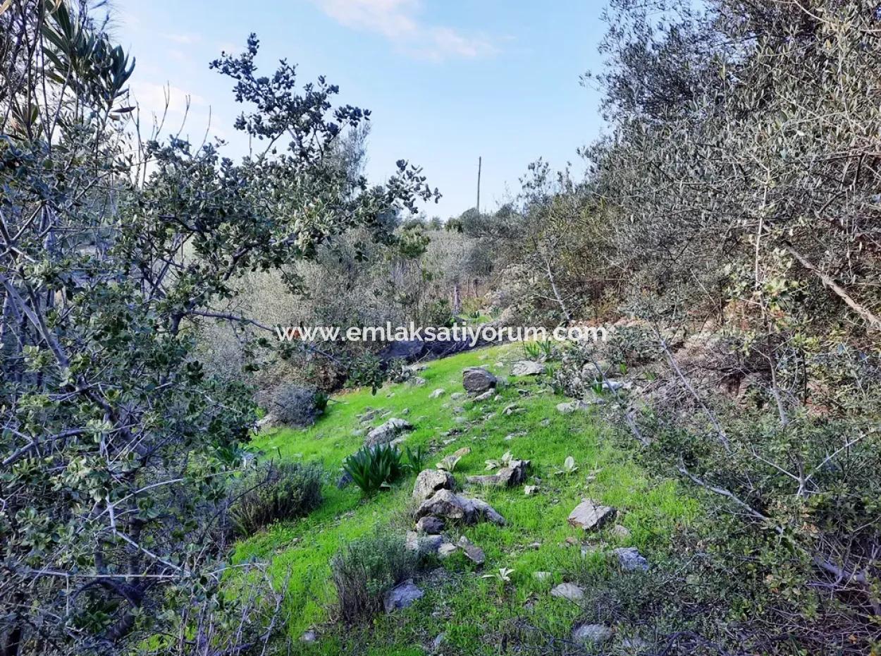 Mugla Dalyan Gokbel 1700 M2 Freistehendes Land Und Bungalow Mit Blick Auf Die Natur