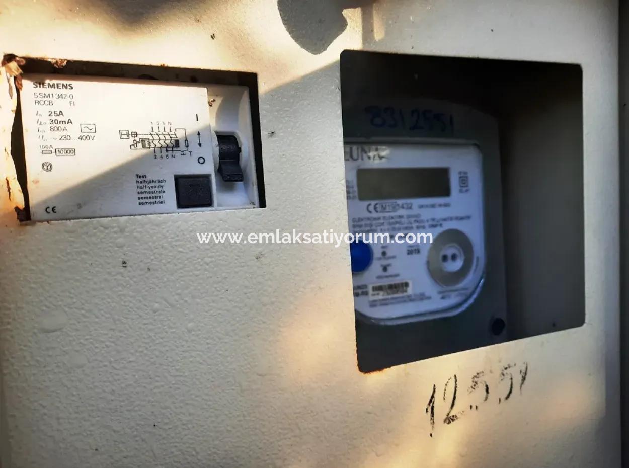 10 000 M2 Freistehender Zitronengarten Zum Verkauf In Ortaca Dalaklı