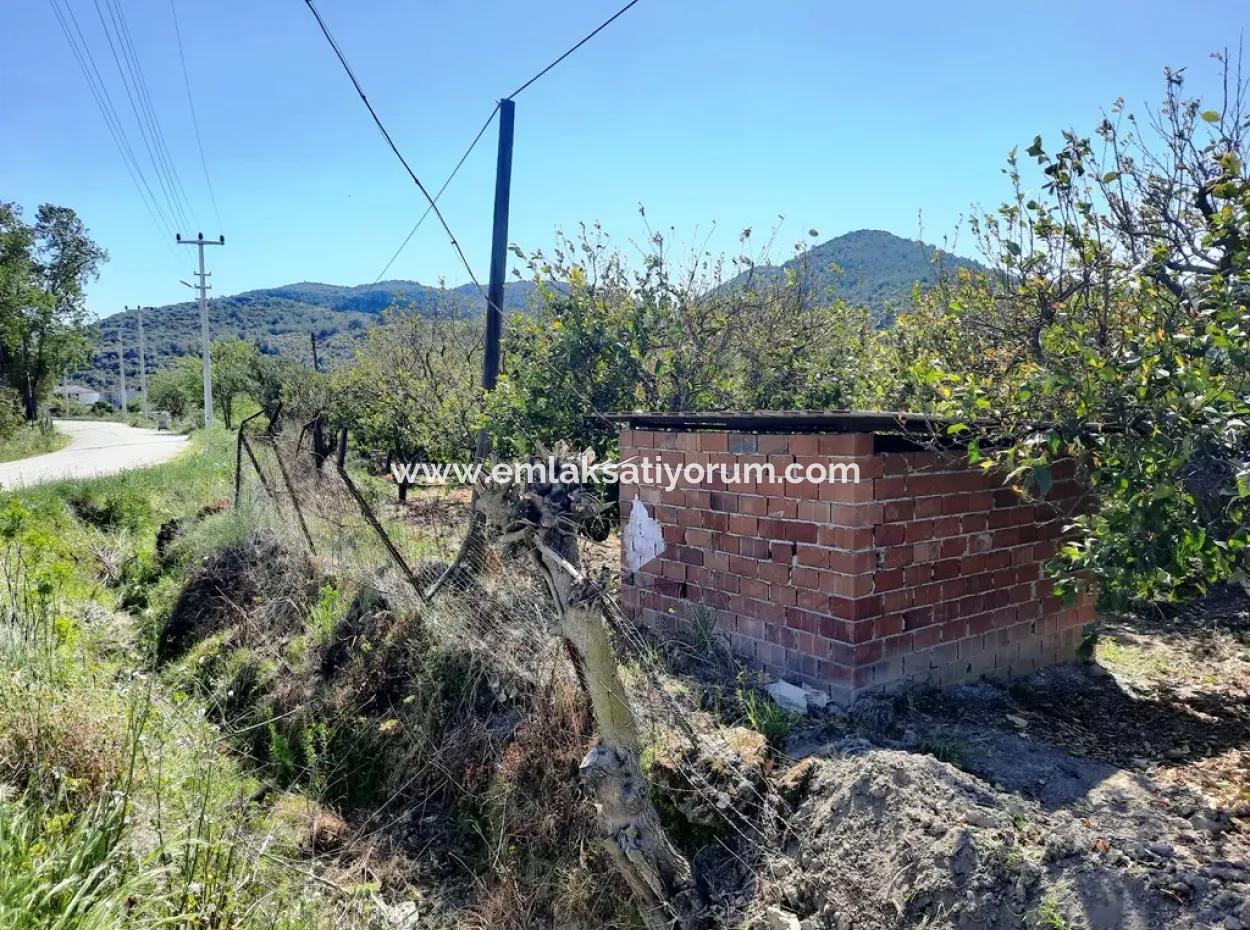 530 M2 Fläche Zum Verkauf In Mugla Ortaca Fevziye