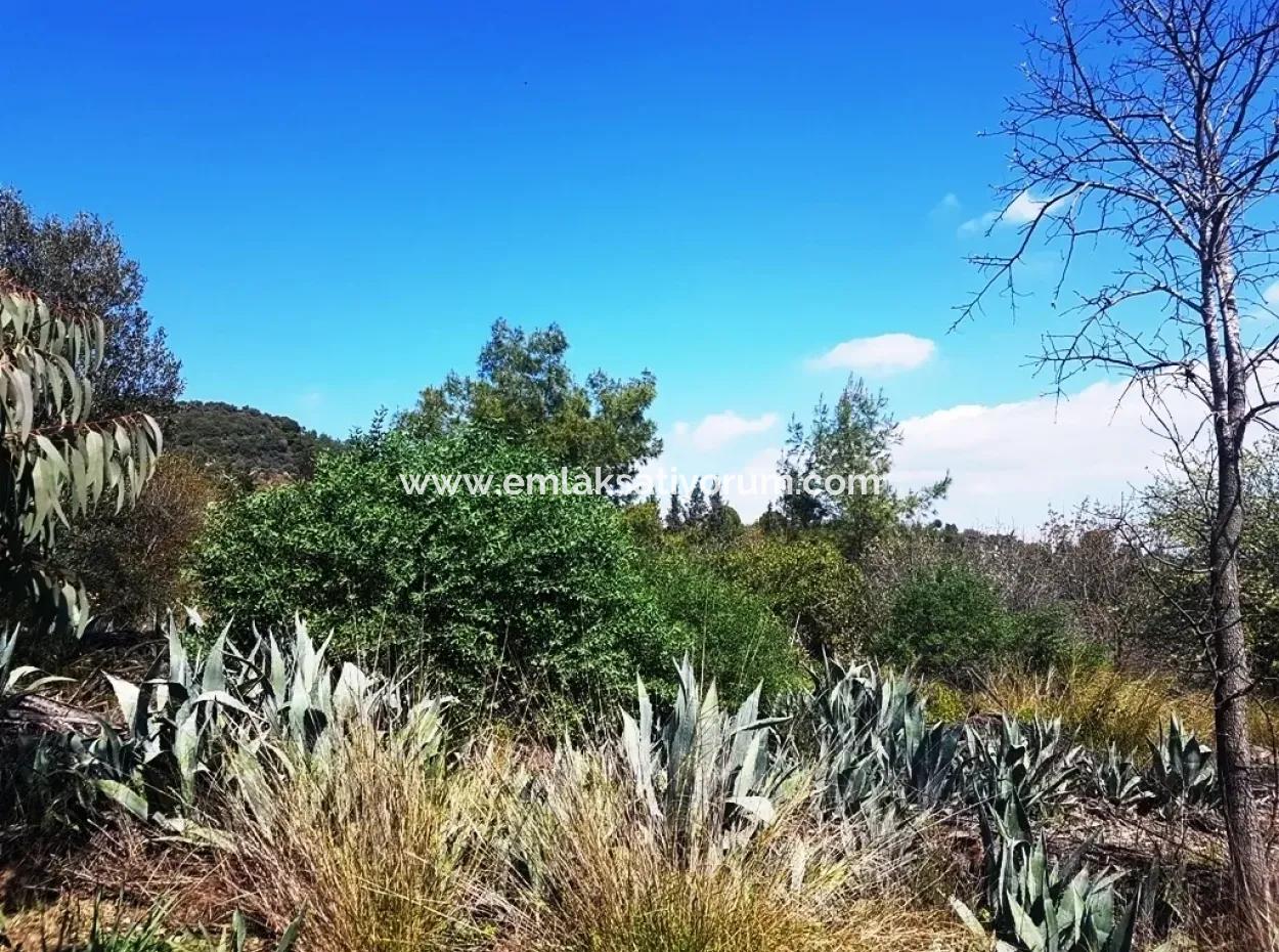 Ausgezeichnete Grundstück Zum Verkauf Schnäppchen, 2616 M2 Einfamilienhaus-Parzellen 6