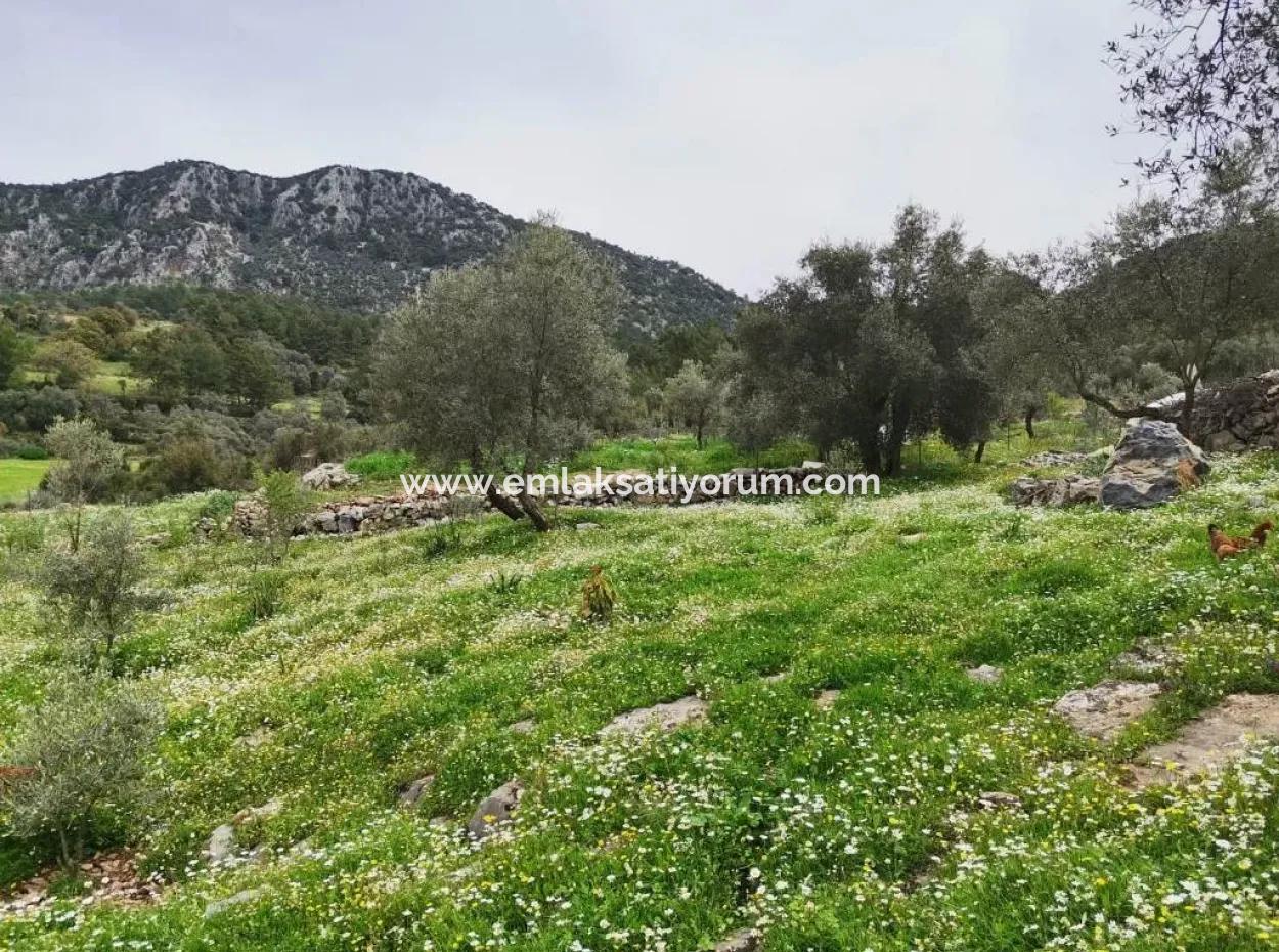 Freistehendes Dorfhaus In Der Natur Zu Verkaufen In Fethiye Gocek Ta'basi