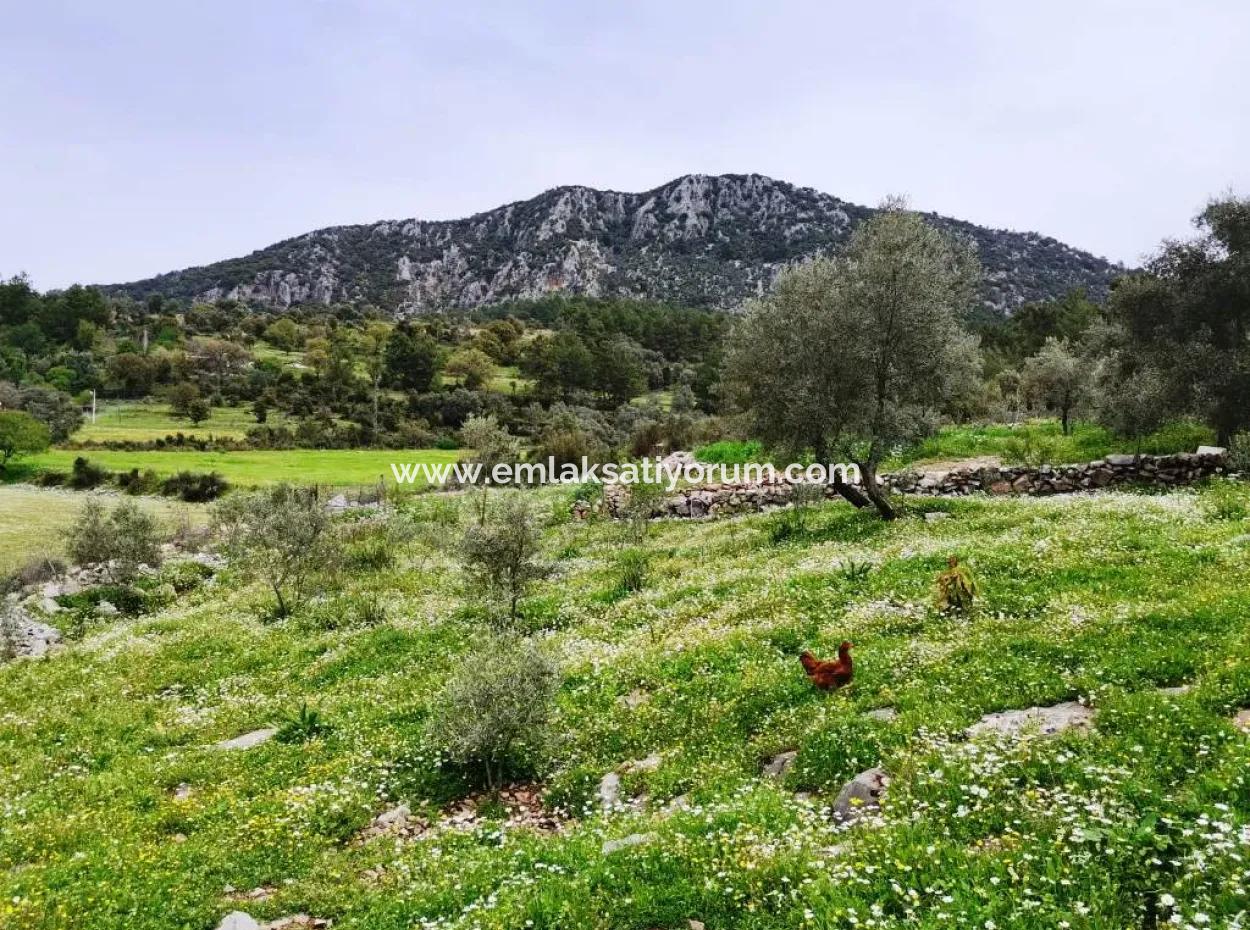 Freistehendes Dorfhaus In Der Natur Zu Verkaufen In Fethiye Gocek Ta'basi