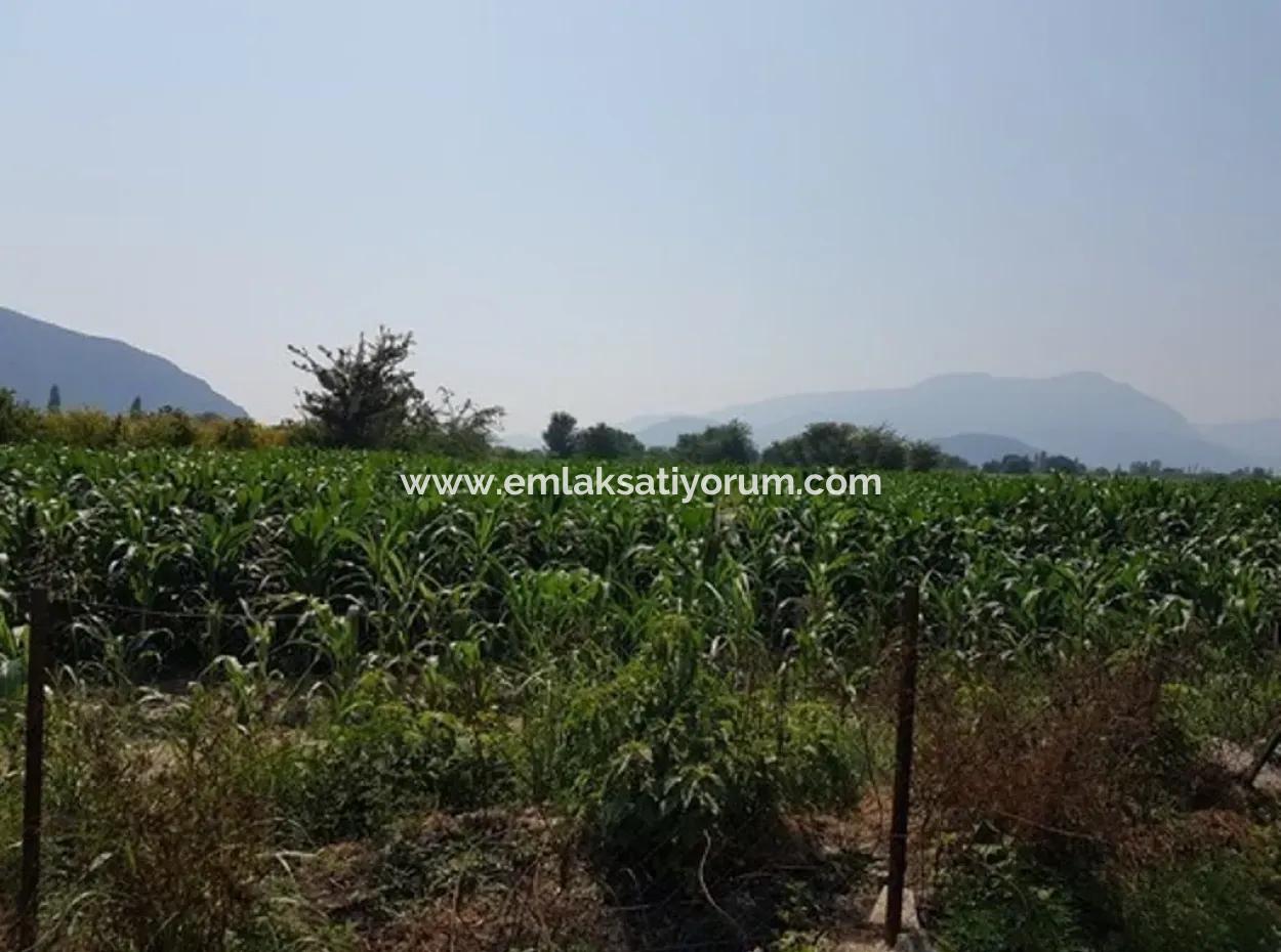 Freistehende 15000 M2 Fruchtbares Land Zum Verkauf In Mugla Ortaca Bogenschützen