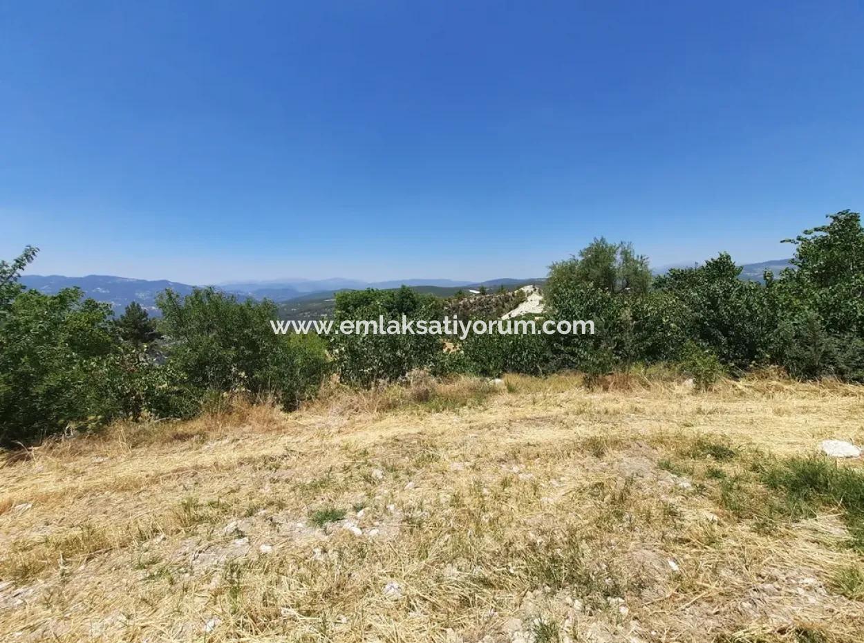 Denizli Çameli Gökçeyaka 2762 M2 Freistehendes Grundstück Zu Verkaufen