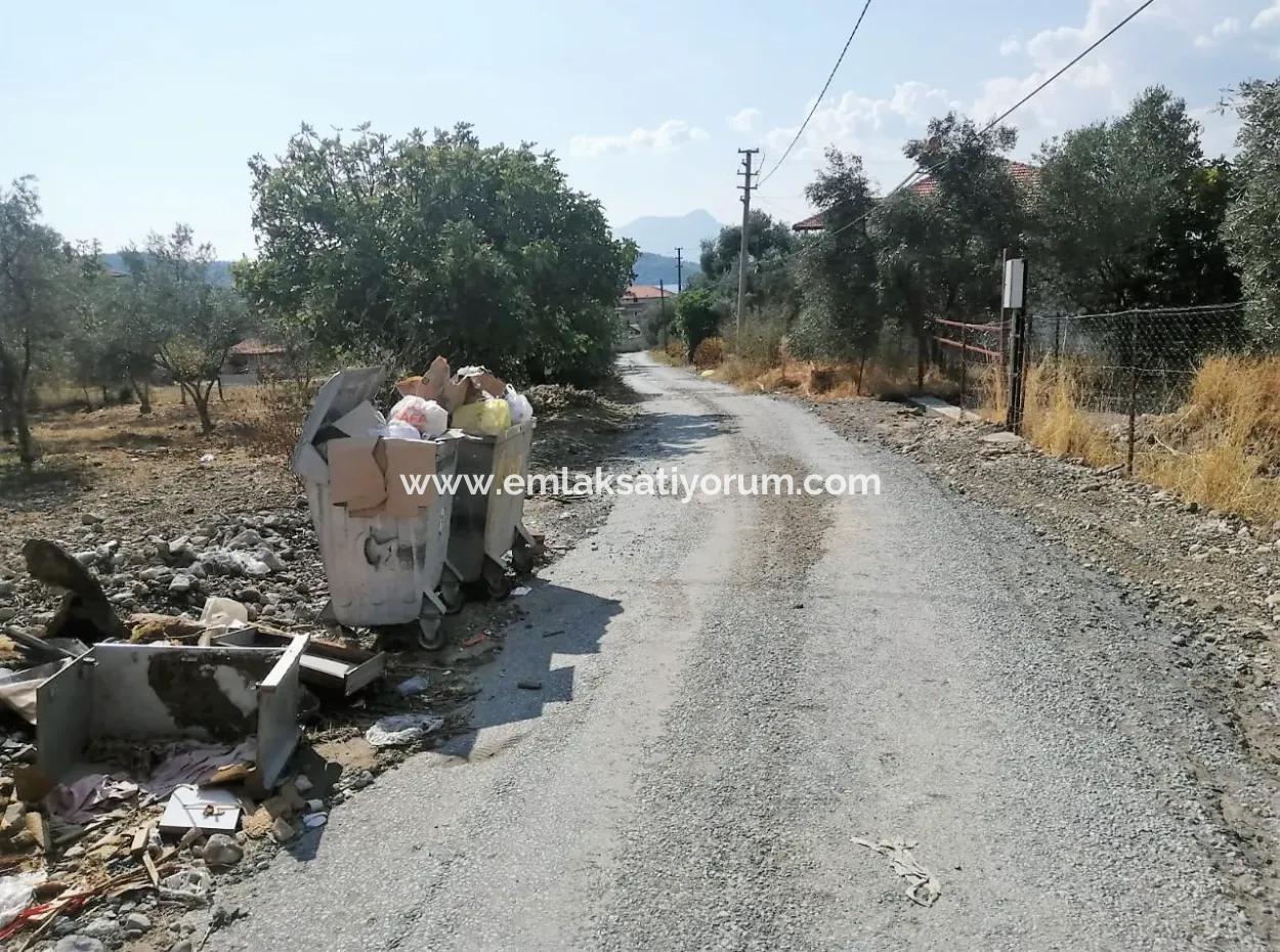 2 Einfamilienhäuser Zum Verkauf In 1992 M2 Grundstück Mit Blick Auf Den See In Köyceğiz Zeytinalanı