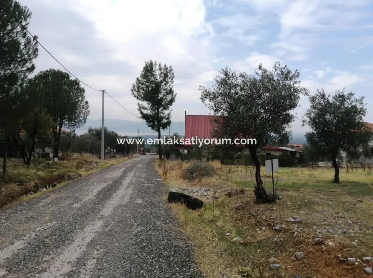 2788 M2 Feld Mit Seeblick Zu Verkaufen In Mugla Köyceğiz Zeytinalanı