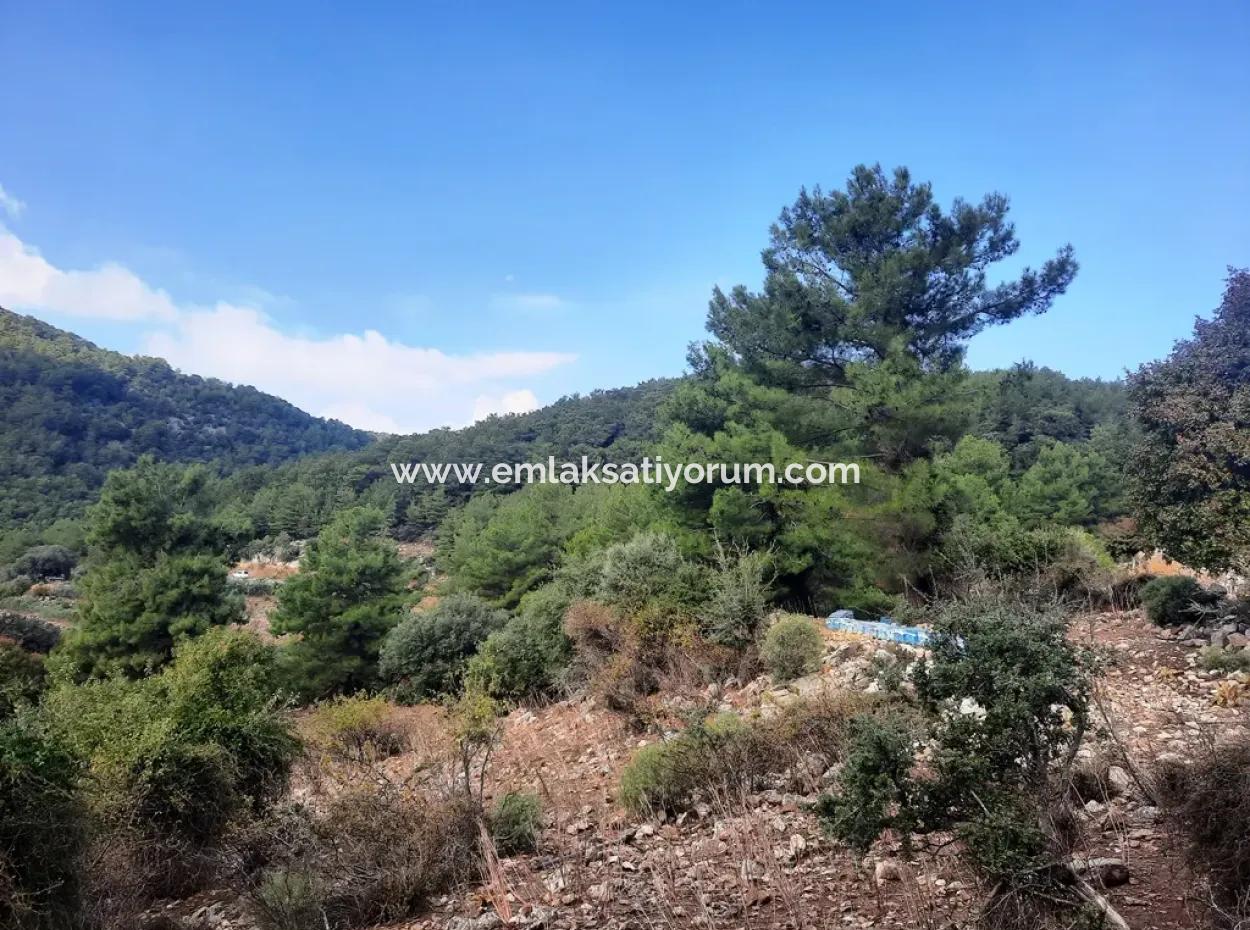 Mugla Dalyan Gökbel 320 M2 Schnäppchengrundstück Zum Verkauf