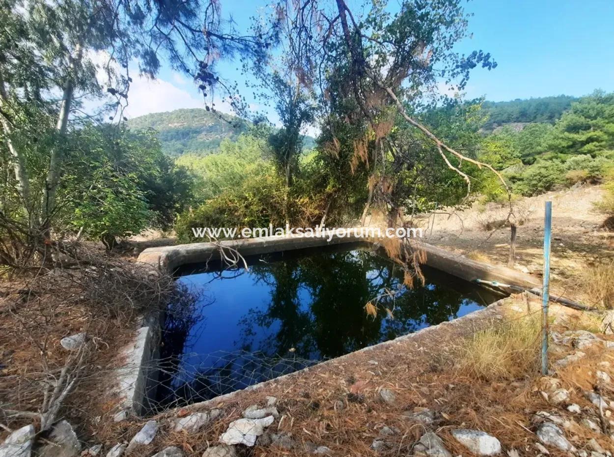 Mugla Dalyan Gökbel 320 M2 Schnäppchengrundstück Zum Verkauf