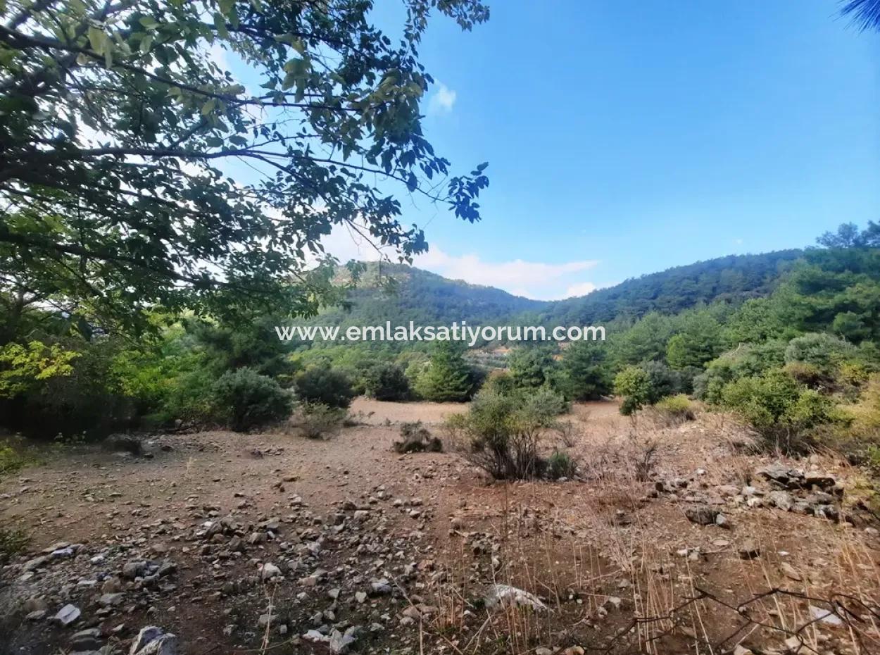 Mugla Dalyan Gökbel 320 M2 Schnäppchengrundstück Zum Verkauf