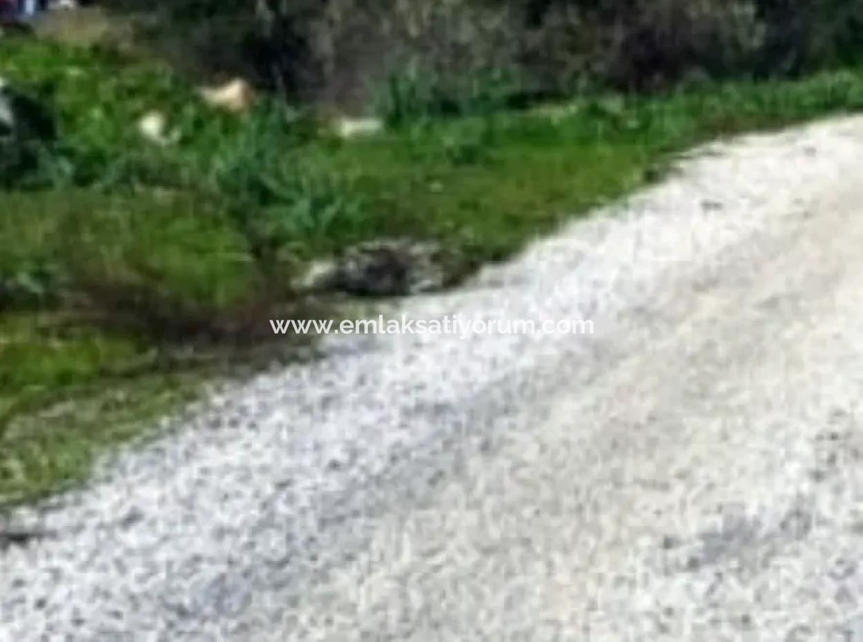 Mugla Ula Esentepe 708 M2 % 20 Zonierung Grundstück Zum Verkauf