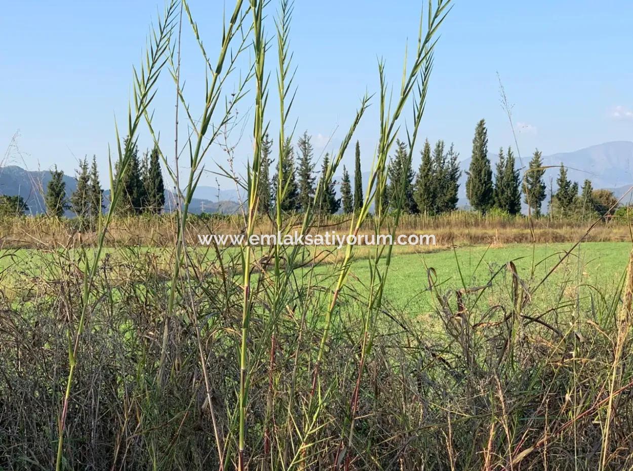 3000 M2 Von 28.394 M2 In Ortaca Güzelyurt Feld Zu Verkaufen