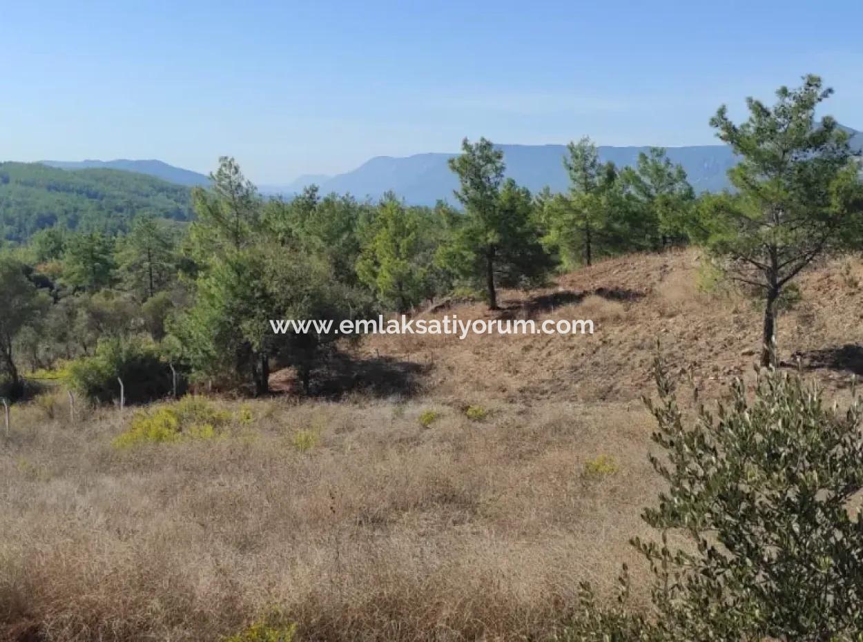 Ula Esentepede 4 200 M2 Meerblick Grundstück Zum Verkauf