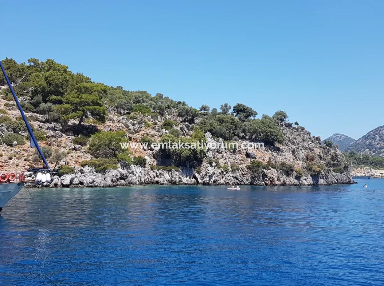 Fethiye Göcek Insel Sea Side Lage 2600 M2 Olivenhain Zum Verkauf