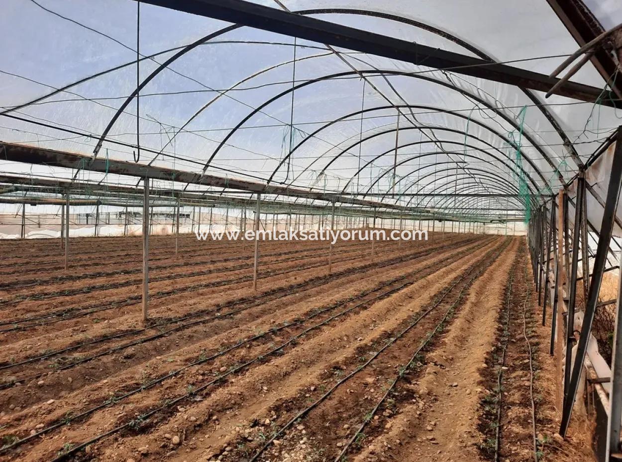 3100 M2 Grundstücke Und Gewächshaus In Muğla Ortaca Ekşiliyurt Zum Verkauf
