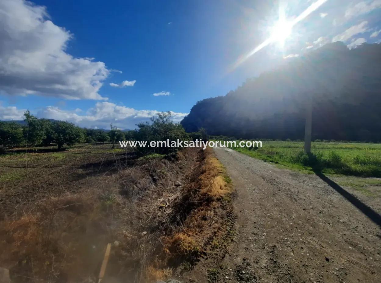 20.000 M2 In Muğla Ortaca Okçular Marmarlı, Grundstück Zum Verkauf Im Bebauungsplan