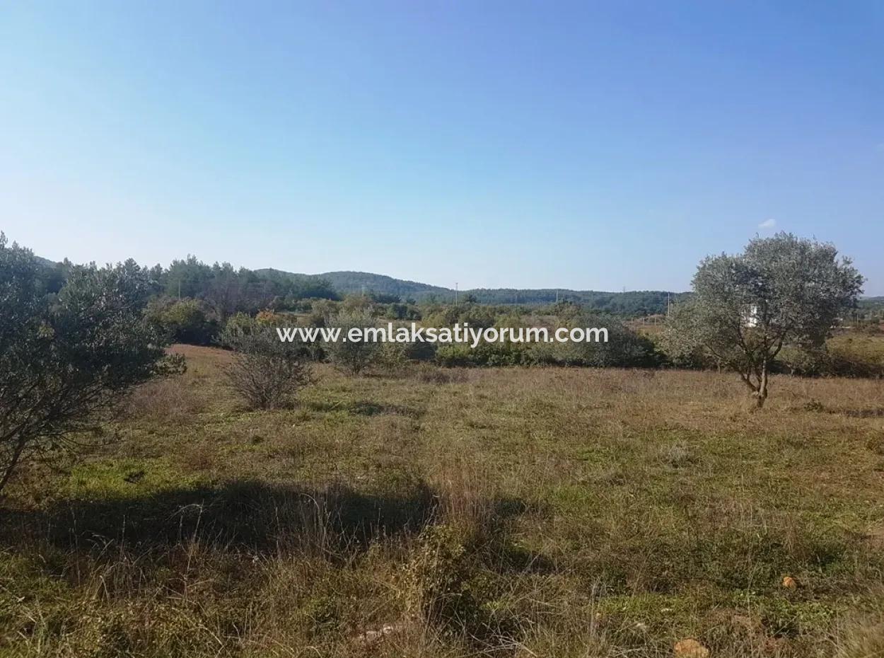 Ula Bauernhof Zum Verkauf