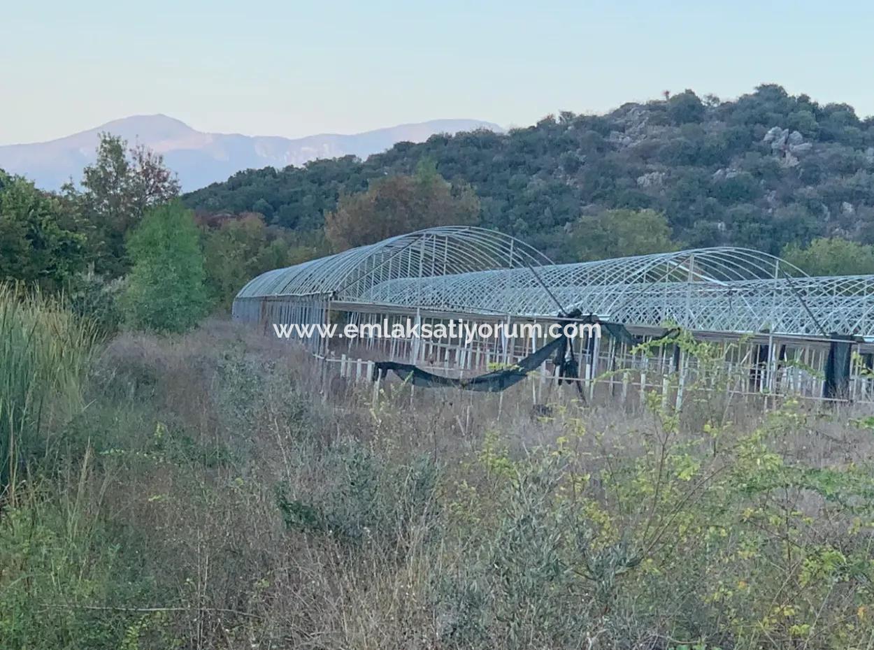 26.200 M2 Freistehendes Feld Und 3.000 M2 Zum Verkauf In Ortaca Güzelyurt