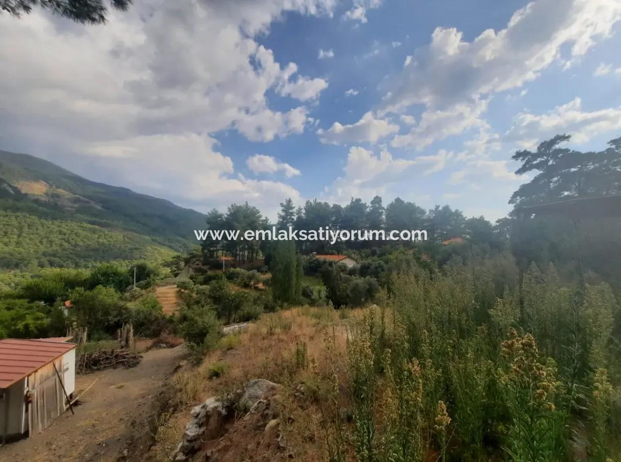 Köyceğiz Ağla Plateau 550M2 Projektbereites, Zoniertes Schnäppchenland Zum Verkauf