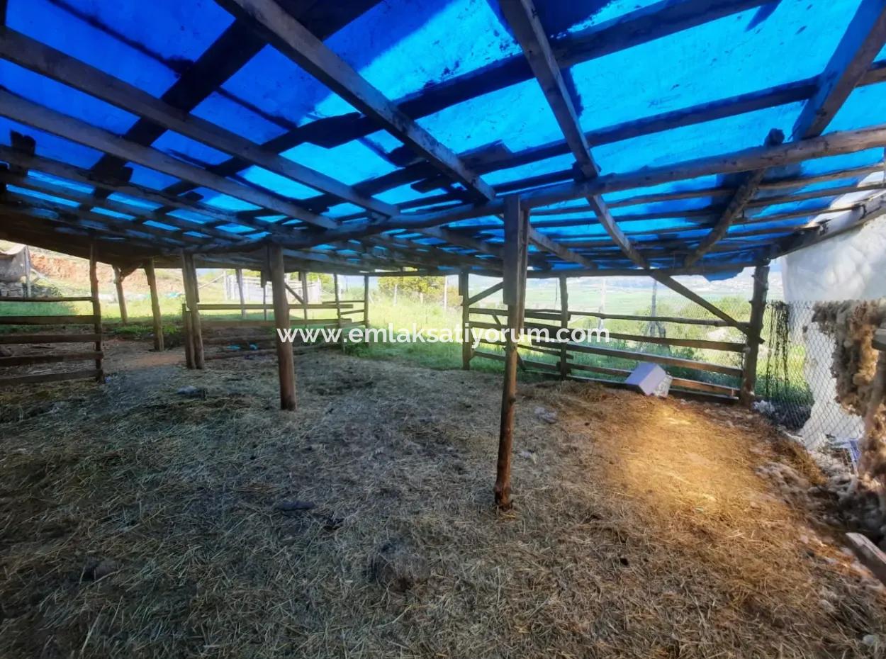 5 000 M2 Grundstück In Çameli Kızılyaka 2 In 1 Einfamilienhaus Und Scheune Zu Vermieten