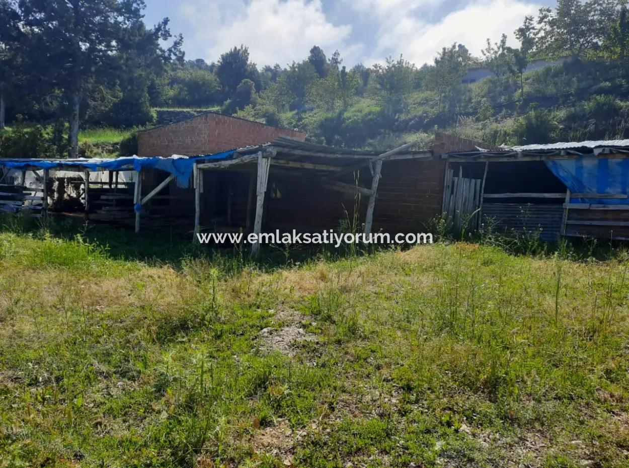 5 000 M2 Grundstück In Çameli Kızılyaka 2 In 1 Einfamilienhaus Und Scheune Zu Vermieten