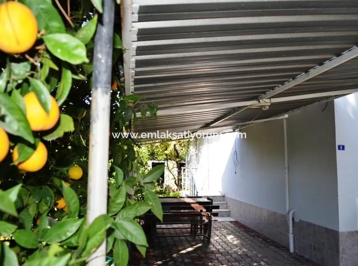 Oriya Ist Auch Voll Möblierte Wohnung Mit Garten Zur Miete