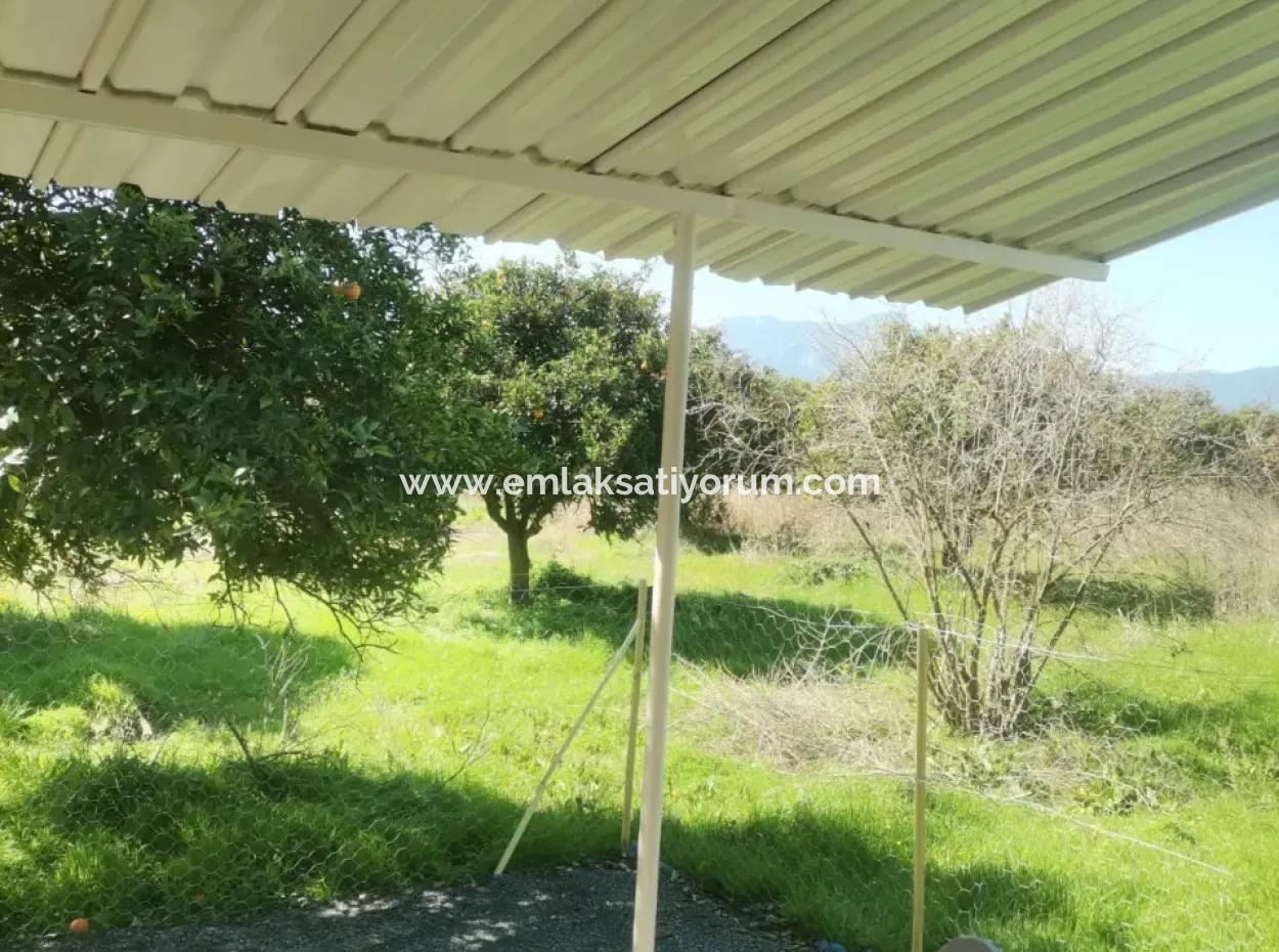 Ortaca Tepearası Mah. 2 1 Wohnung Im Gartengeschoss Zu Vermieten