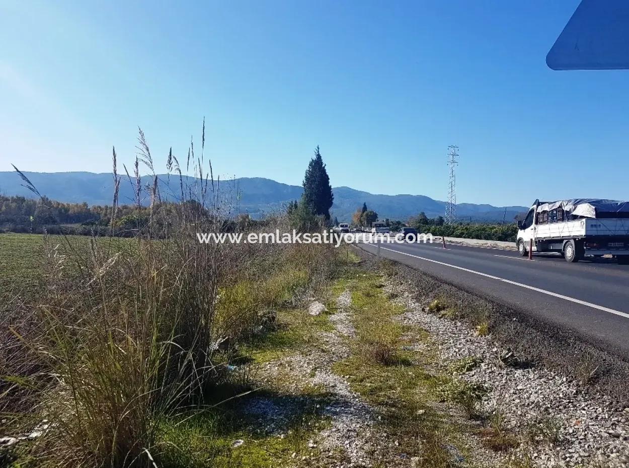 Auch Dogusbelen Null Von Der Hauptstraße, Grundstücke Zum Verkauf