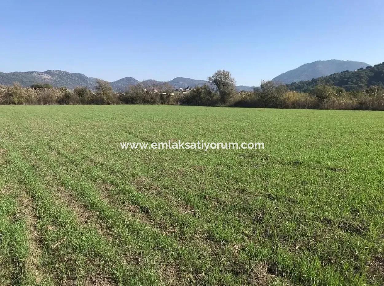 Land Zum Verkauf In Dalaman Auch Public Works And Water Zero