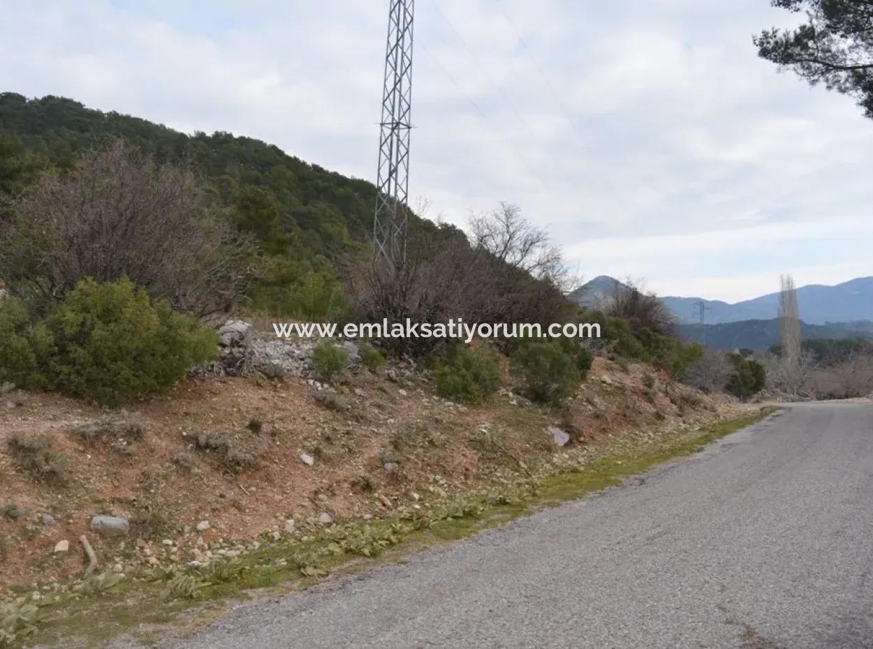 Fethiye, Nifte, 2 000 M2, Freistehend Zu Verkaufen, Schnäppchengrundstück