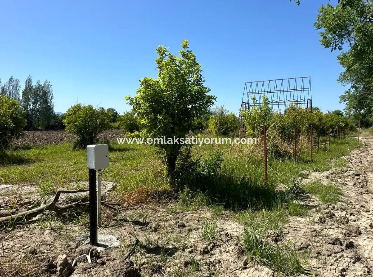 Bogenschützen Auch Zu Verkaufen 500 M2