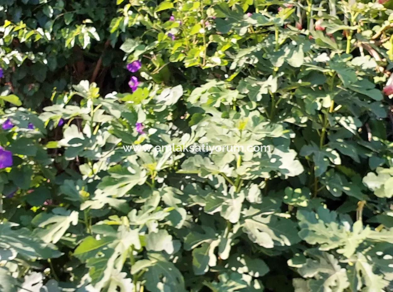 1.650 M2 Wohn- Oder Hotelgrundstück Zum Verkauf In Dalyan, Muğla