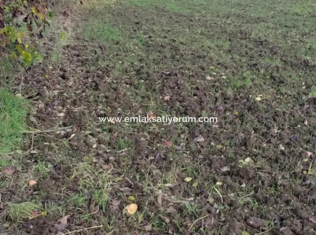 11 450 M2 Feld Zum Verkauf In Muğla Köyceğiz Köyceğiz Nachbarschaft