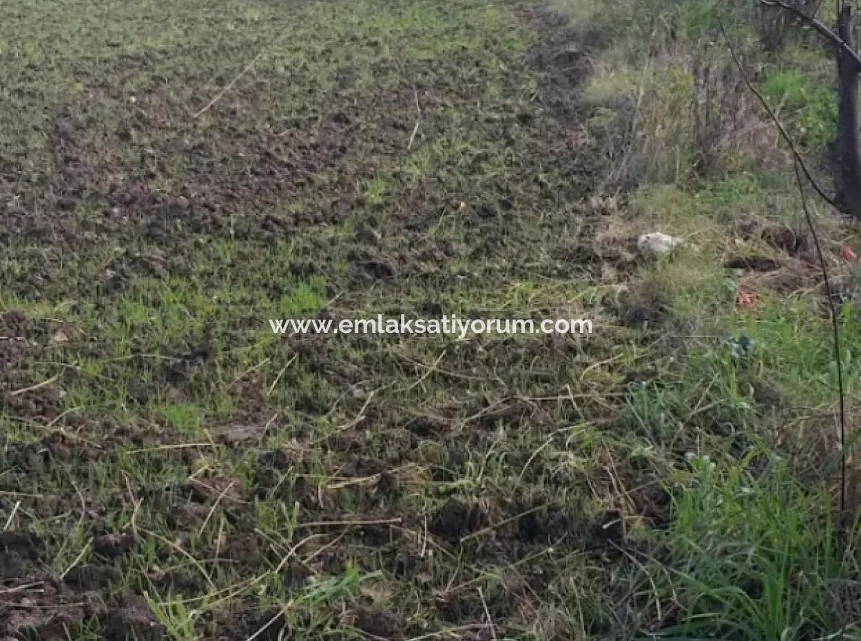 11 450 M2 Feld Zum Verkauf In Muğla Köyceğiz Köyceğiz Nachbarschaft