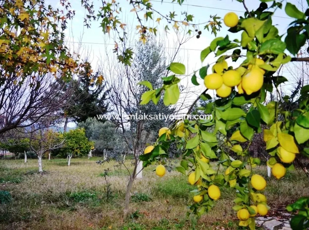 Freistehende Duplex Mit Seeblick Zum Verkauf An Zeytinalani