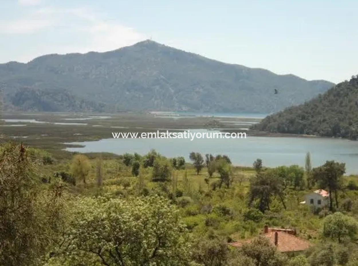 Dorfhaus Mit Seeblick Und Olivenhain Land Zum Verkauf In Köyceğiz Çandır, Muğla