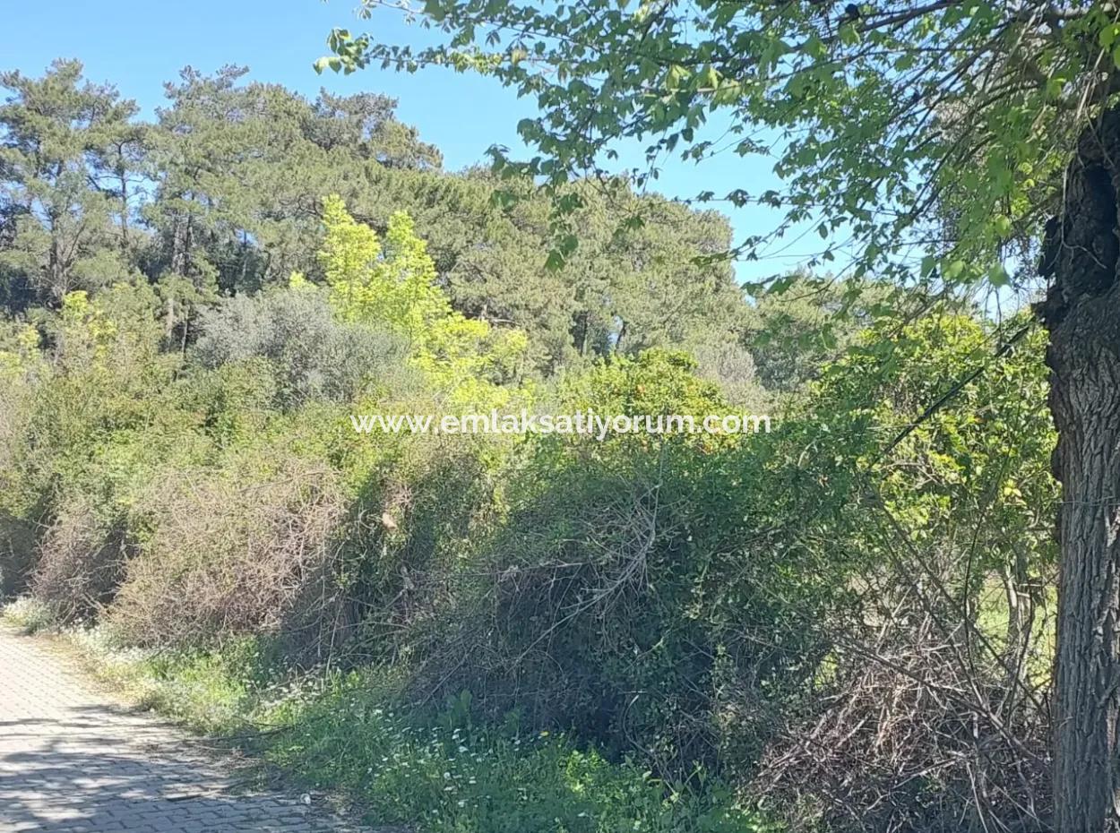 Dorfhaus Mit Seeblick Und Olivenhain Land Zum Verkauf In Köyceğiz Çandır, Muğla