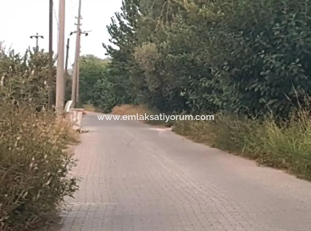 Bogenschützen Sind Auch Für Den Verkauf, Investitionen Land Geeignet Für