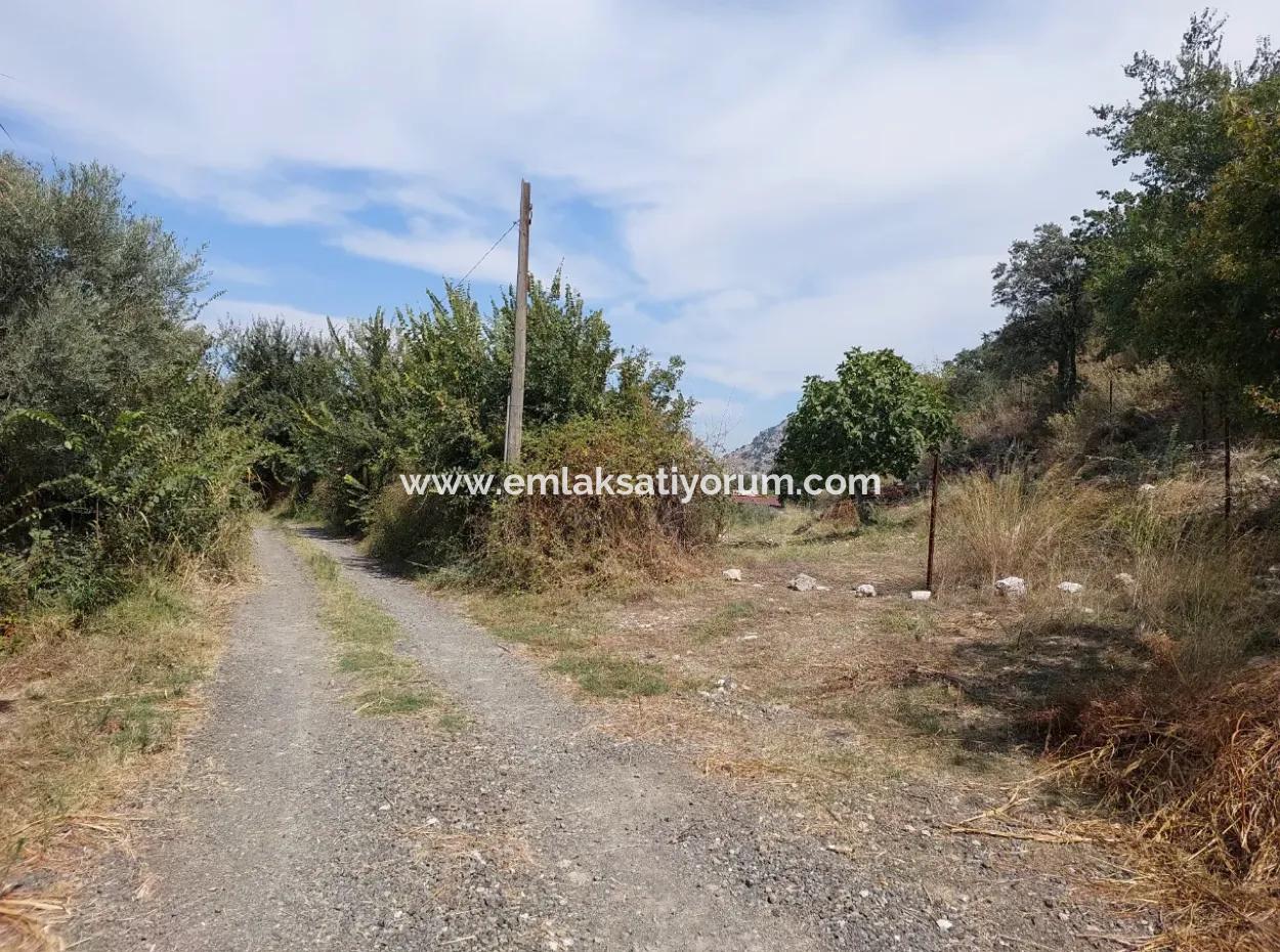 Fruchtbares 1.680 M2 Land Am Berghang Zum Verkauf In Dalyan, Muğla