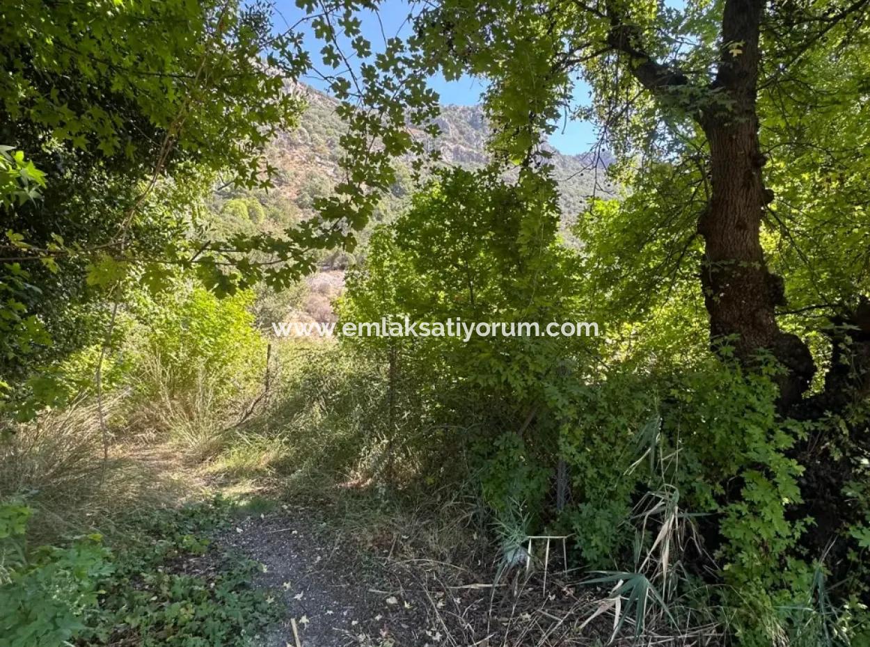 3073 M2 Feld Zu Vermieten In Dalyan Marmarlı