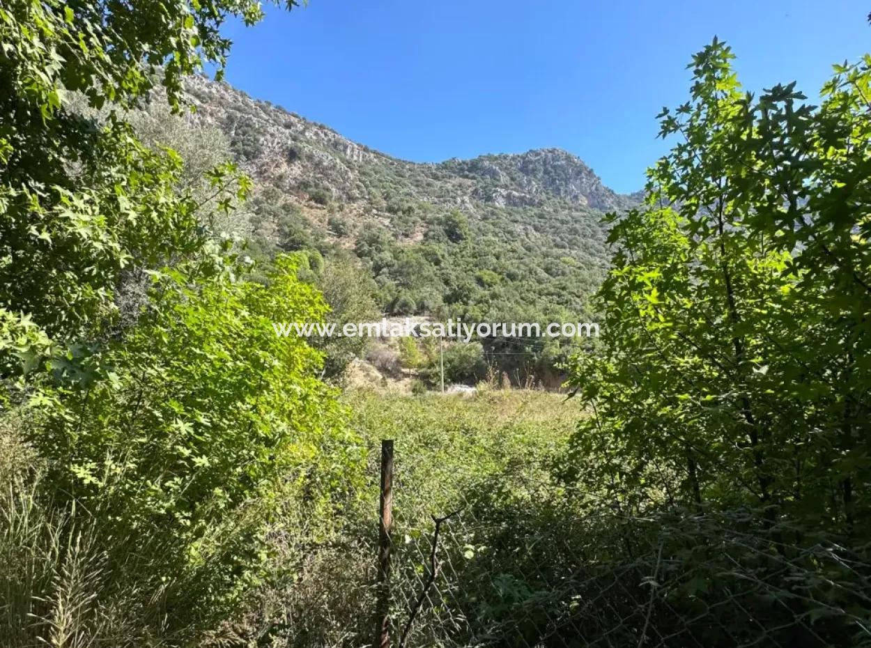 3073 M2 Feld Zu Vermieten In Dalyan Marmarlı
