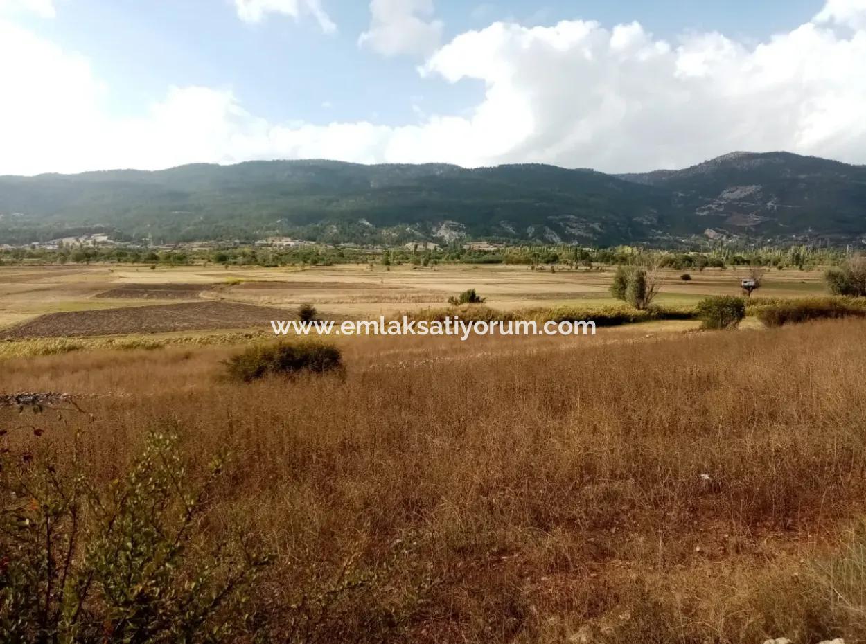 2603 M2 Feld Zum Verkauf In Denizli Çameli Belevi Nachbarschaft