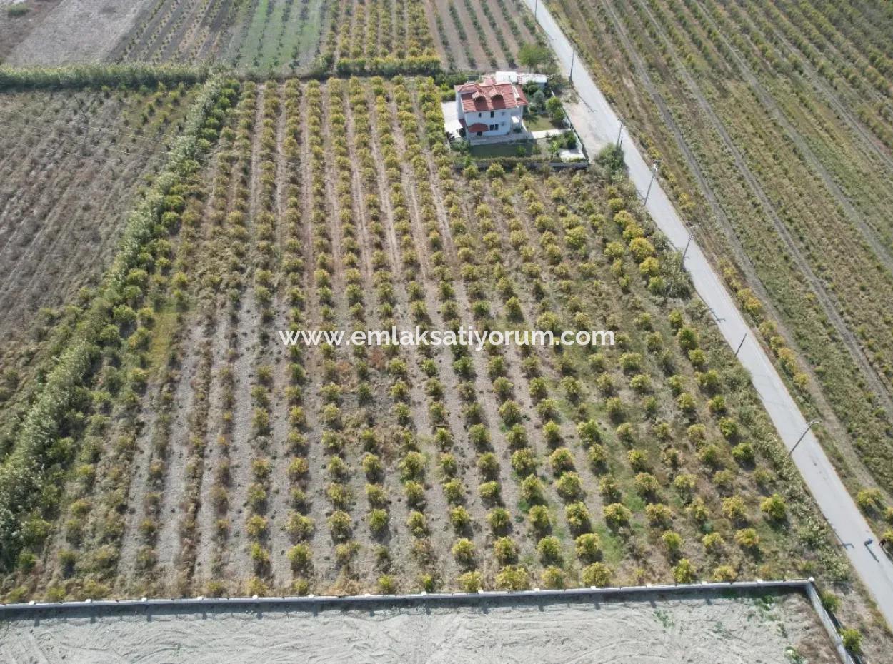 Muğla Dalyanda Kanal 2. Parzelle Freistehend 5.000 M2, 250 M2 Grundstück Mit Baurecht Zu Verkaufen