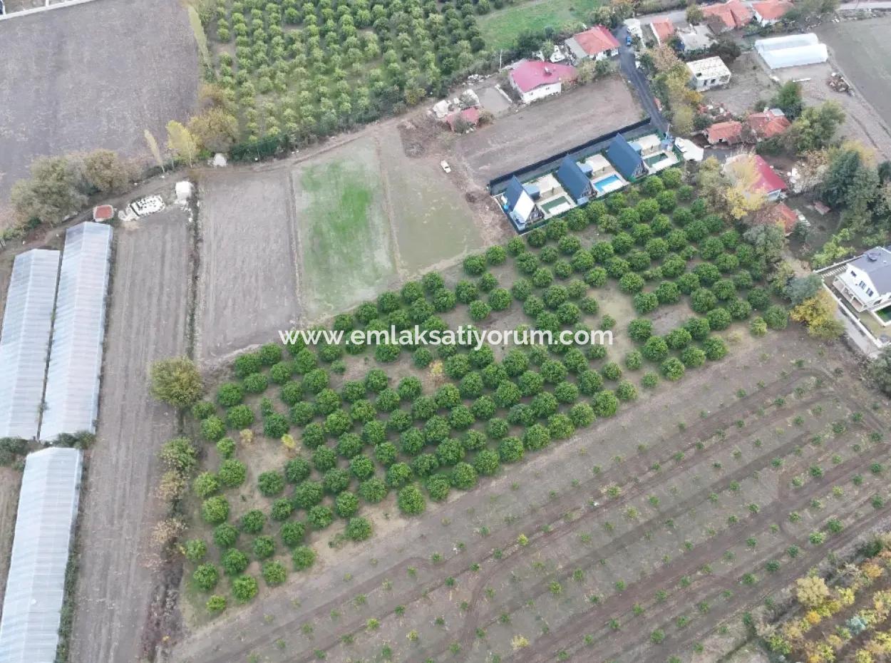 9750 M2 Grundstück Zum Verkauf In Ortaca Okçular Bebauungsplan, Geeignet Für Investitionen